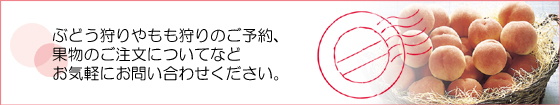 野澤観光園