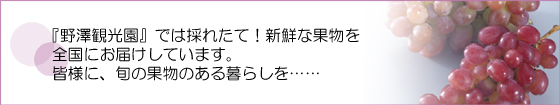 野澤観光園