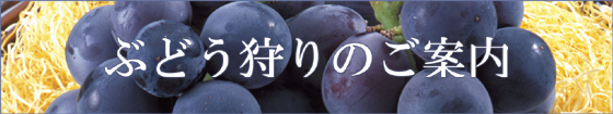 野澤観光園